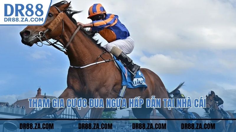 Tham gia cược đua ngựa hấp dẫn tại nhà cái